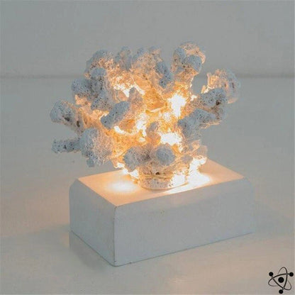 Coral night light Science Decor