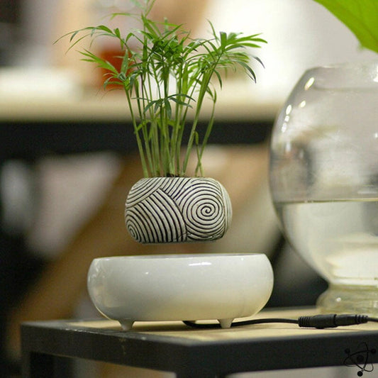 Feng Shui Levitating Vase Science Decor