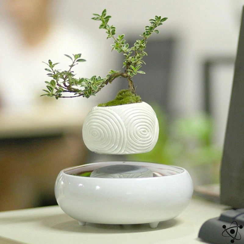 Feng Shui Levitating Vase Science Decor