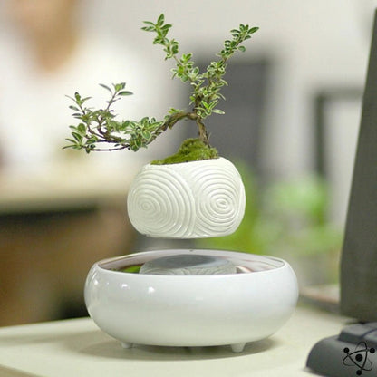 Feng Shui Levitating Vase Science Decor