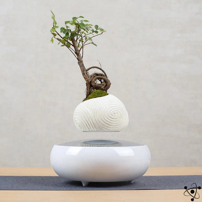 Feng Shui Levitating Vase Science Decor