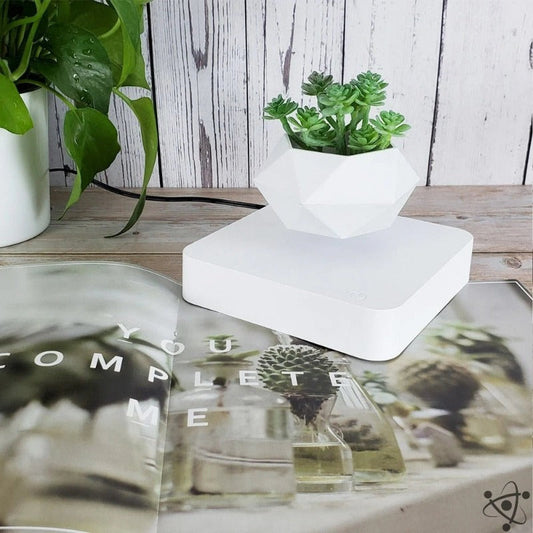Levitating Bonsai Pot Science Decor