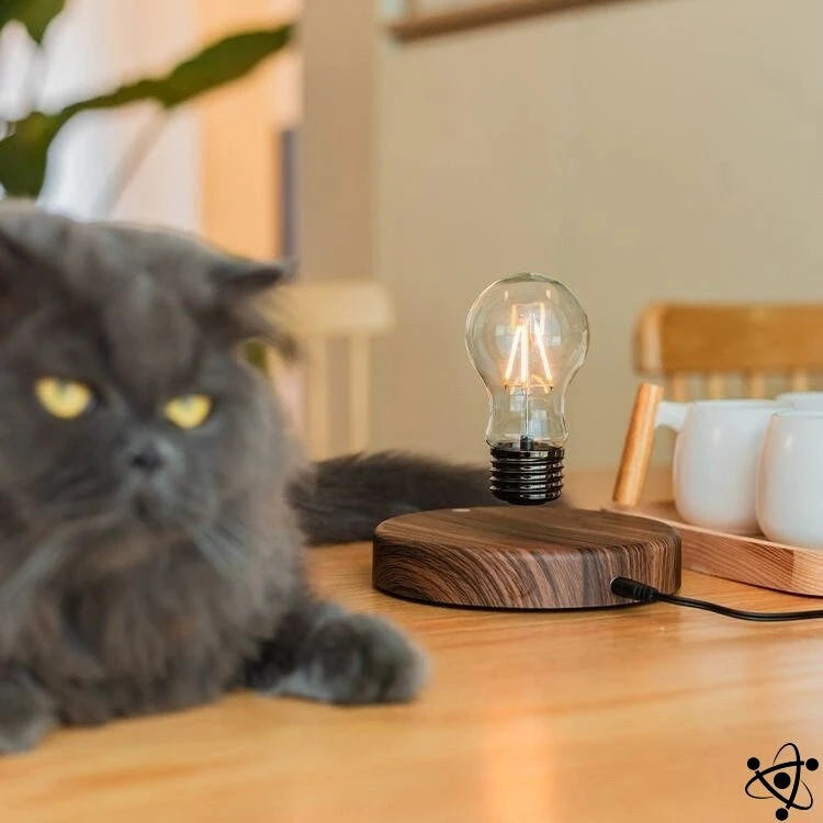 Magnetic Levitation Bulb Science Decor