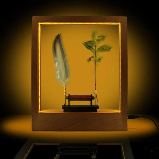 Slow Motion Frame Science Decor