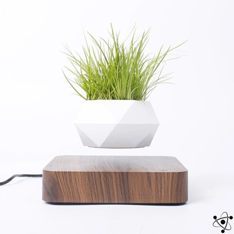Wooden Levitating Vase Science Decor