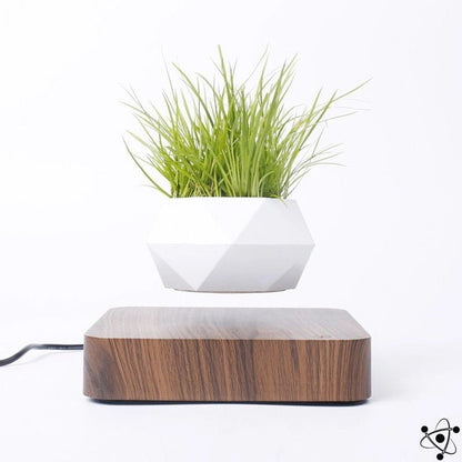 Wooden Levitating Vase Science Decor