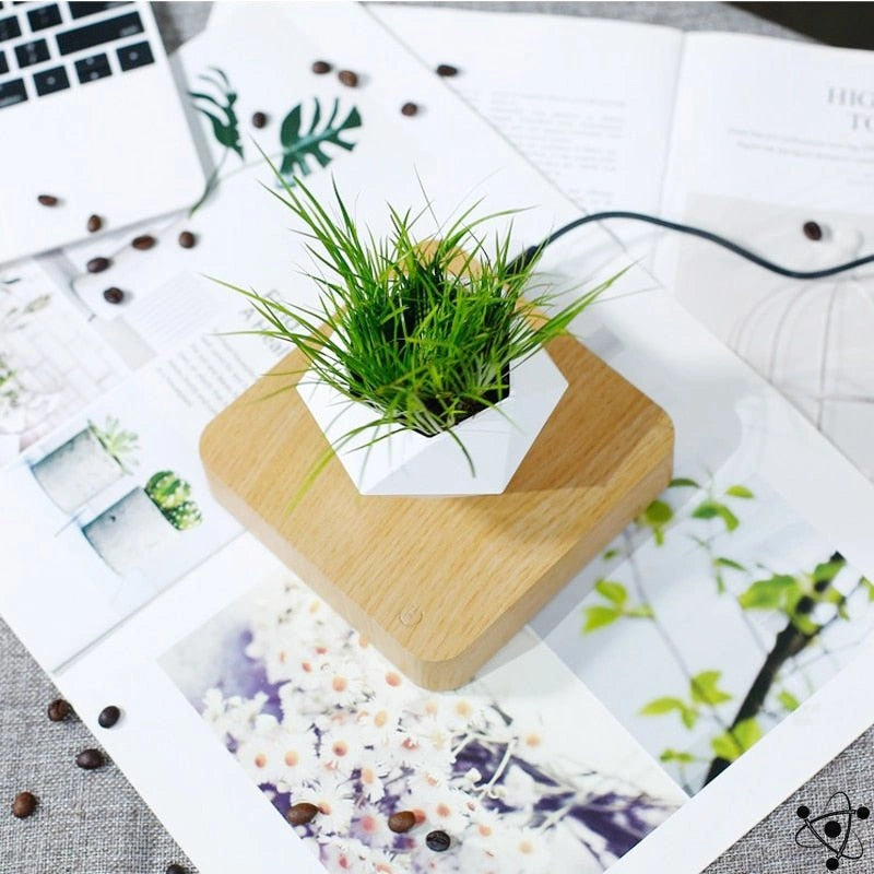 Wooden Levitating Vase Science Decor