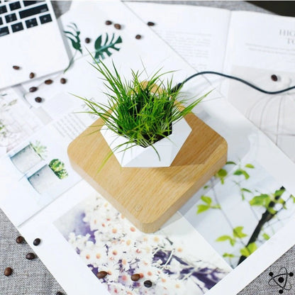 Wooden Levitating Vase Science Decor